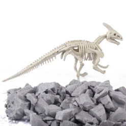 Dinosaurier Ausgrabungsset Mit Dino Skelett Und Zubehör Dino Spielzeug -Dinosaurier-Spielzeug product image 1195634558