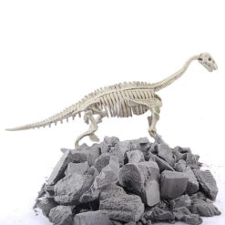 Dinosaurier Ausgrabungsset Mit Dino Skelett Und Zubehör Dino Spielzeug -Dinosaurier-Spielzeug product image 1195634559
