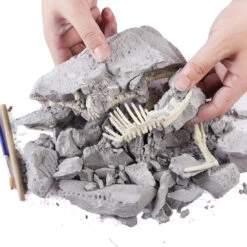 Dinosaurier Ausgrabungsset Mit Dino Skelett Und Zubehör Dino Spielzeug -Dinosaurier-Spielzeug product image 1195634561