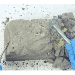 Dinosaurier Ausgrabungsset Mit Dino Skelett Und Zubehör Dino Spielzeug -Dinosaurier-Spielzeug product image 1195634565