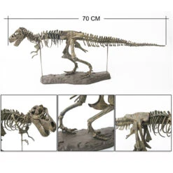 XXL Tyrannosaurus Rex T-Rex Skelett Modell Zum Selbstbauen 70cm -Dinosaurier-Spielzeug product image 1290614503