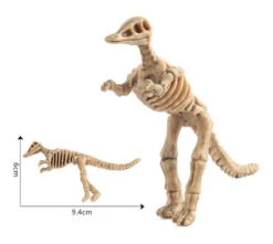 Dinosaurier Fossile Skelette Figuren Set (12 Stk.) -Dinosaurier-Spielzeug product image 1361605964