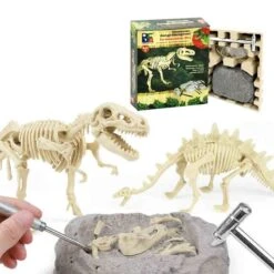 Dinosaurier Ausgrabungsset Mit Dino Skelett Und Zubehör Dino Spielzeug
