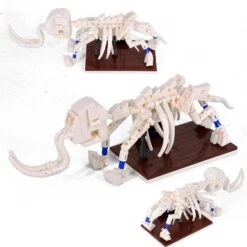 Jurassic World Dinosaurier Museum Skelette Bausteine Dino Spielzeug -Dinosaurier-Spielzeug product image 1467205182