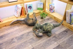 Riesengroße XXL Dino Kuscheltiere - Langhals Dino, Spinosaurus, Triceratops, T-Rex, Stegosaurus Uvm. 37 Riesengroße XXL Dino Kuscheltiere - Langhals Dino, Spinosaurus, Triceratops, T-Rex, Stegosaurus Uvm. -Dinosaurier-Spielzeug product image 1563836177