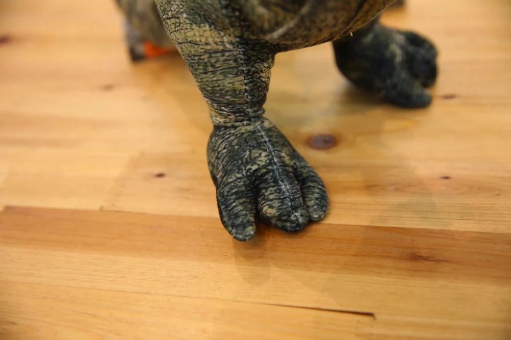 Riesengroße XXL Dino Kuscheltiere - Langhals Dino, Spinosaurus, Triceratops, T-Rex, Stegosaurus Uvm. 6 Riesengroße XXL Dino Kuscheltiere - Langhals Dino, Spinosaurus, Triceratops, T-Rex, Stegosaurus Uvm. – Bild 4