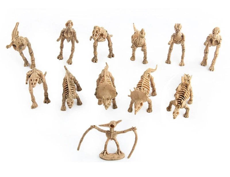 12 Stk. Dinosaurier Fossil Figuren Set 7 12 Stk. Dinosaurier Fossil Figuren Set – Bild 5