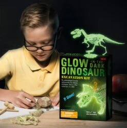 Dinosaurier Ausgrabungsset Mit Dino Skelett - Leuchtet Im Dunkeln