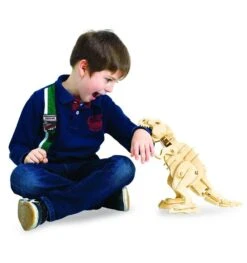 Interaktives Bauset Aus Holz - Walking T-Rex Spielzeug -Dinosaurier-Spielzeug product image 1614686287