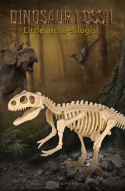Dinosaurier Fossil Ausgrabungsset -Dinosaurier-Spielzeug product image 1833906019