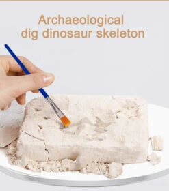 Dinosaurier Fossil Ausgrabungsset -Dinosaurier-Spielzeug product image 1833906021