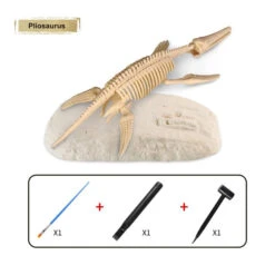 Dinosaurier Fossil Ausgrabungsset -Dinosaurier-Spielzeug product image 1833906040