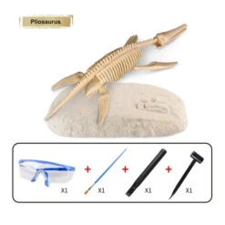 Dinosaurier Fossil Ausgrabungsset -Dinosaurier-Spielzeug product image 1833906046