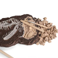 Dino Eier Und Skelette - Leuchten Im Dunkeln - Verschiedene Motive Zur Wahl -Dinosaurier-Spielzeug product image 1862519169