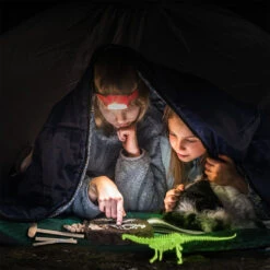 Dino Eier Und Skelette - Leuchten Im Dunkeln - Verschiedene Motive Zur Wahl -Dinosaurier-Spielzeug product image 1862519170