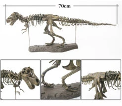 XXL T-Rex Dinosaurier Skelett Modell (ca. 68cm) -Dinosaurier-Spielzeug product image 1891316972