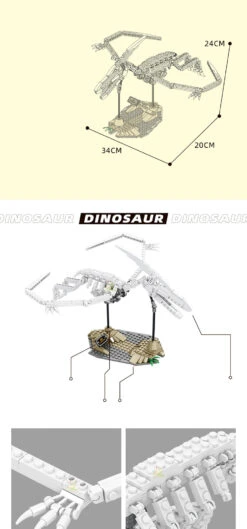 Bausatz Dinosaurier-Fossilien, Die Im Dunkeln Leuchten -Dinosaurier-Spielzeug product image 1931488392