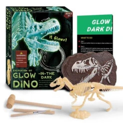 Dino Eier Und Skelette - Leuchten Im Dunkeln - Verschiedene Motive Zur Wahl -Dinosaurier-Spielzeug product image 1939169740