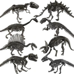 Dino Skelette - Dinosaurier Fossilien Zum Ausgraben Spielzeug
