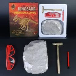 Dino Skelette - Dinosaurier Fossilien Zum Ausgraben Spielzeug -Dinosaurier-Spielzeug product image 1966858759