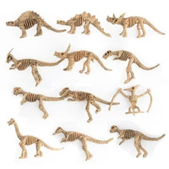 12 Stk. Dinosaurier Fossil Figuren Set 26 12 Stk. Dinosaurier Fossil Figuren Set -Dinosaurier-Spielzeug product image 566597994