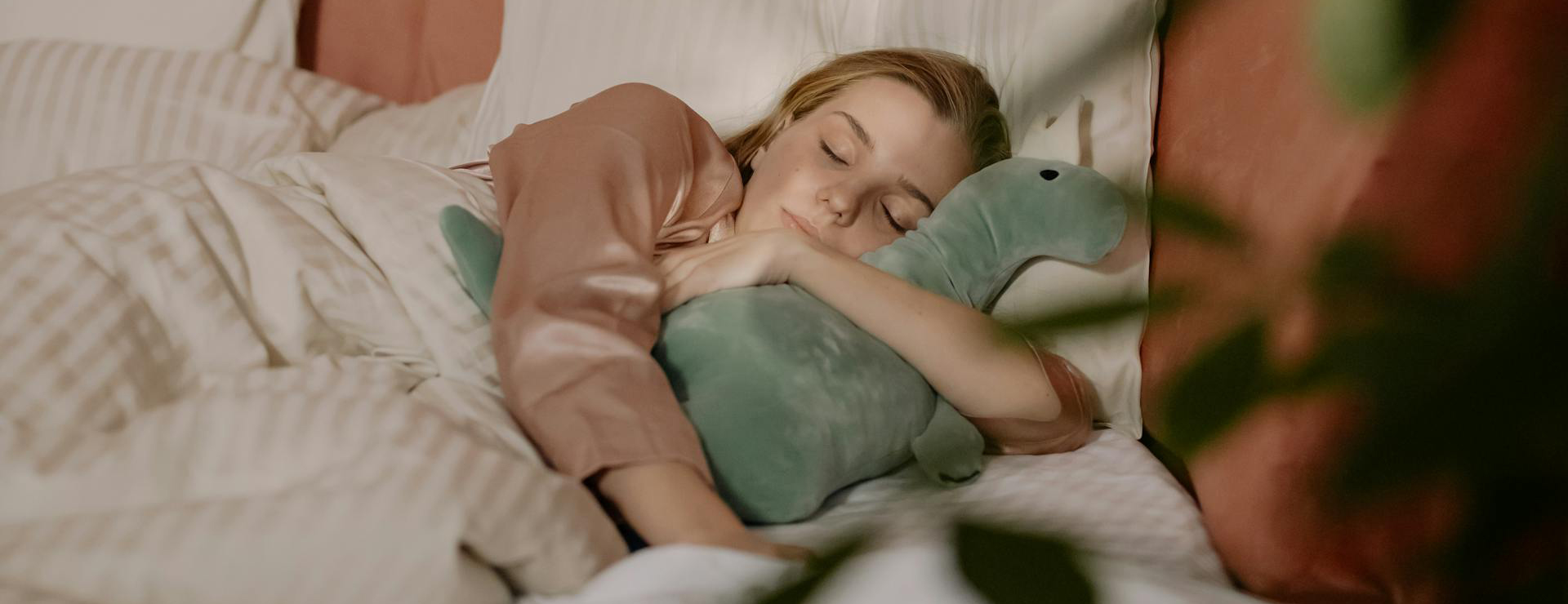 Titelseite -Dinosaurier-Spielzeug pexels cottonbro 6651869